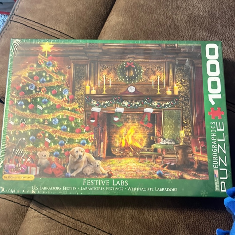 Festive Labs Eurographics Puzzle - 1000pc Jigsaw